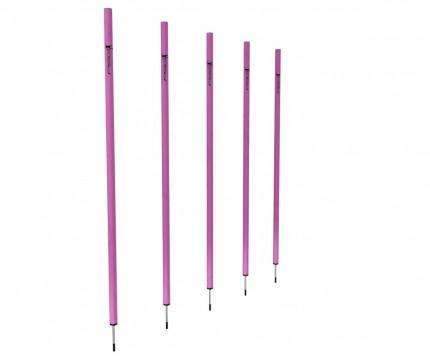 Spike Pole 170cm Nanotech-Pro Football Group-all,Poles,Pro Sports,Speed And Agility,test