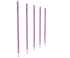 Spike Pole 170cm Nanotech-Pro Football Group-all,Poles,Pro Sports,Speed And Agility,test